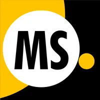 MS PARTNERS