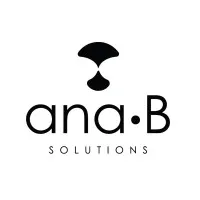 ANA B SOLUTIONS