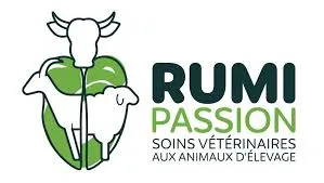 RUMIPASSION