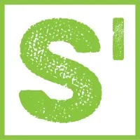THE SWARM INITIATIVE (TSI)