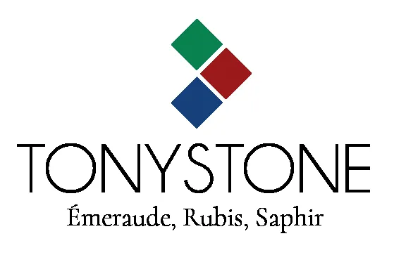 SAS TONYSTONE