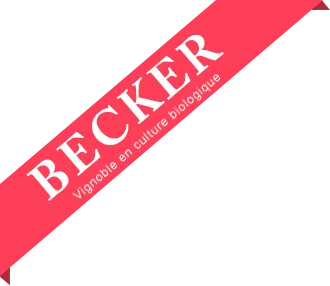 JEAN BECKER VITICULTEURS-NEGOCIANTS