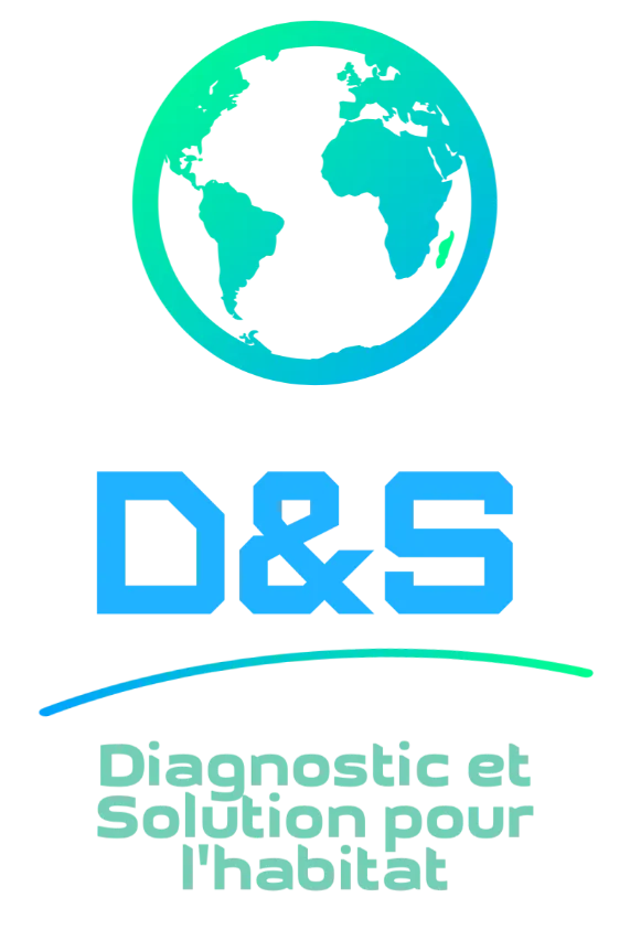 D&S