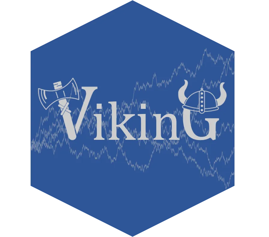 VIKING CONSEIL
