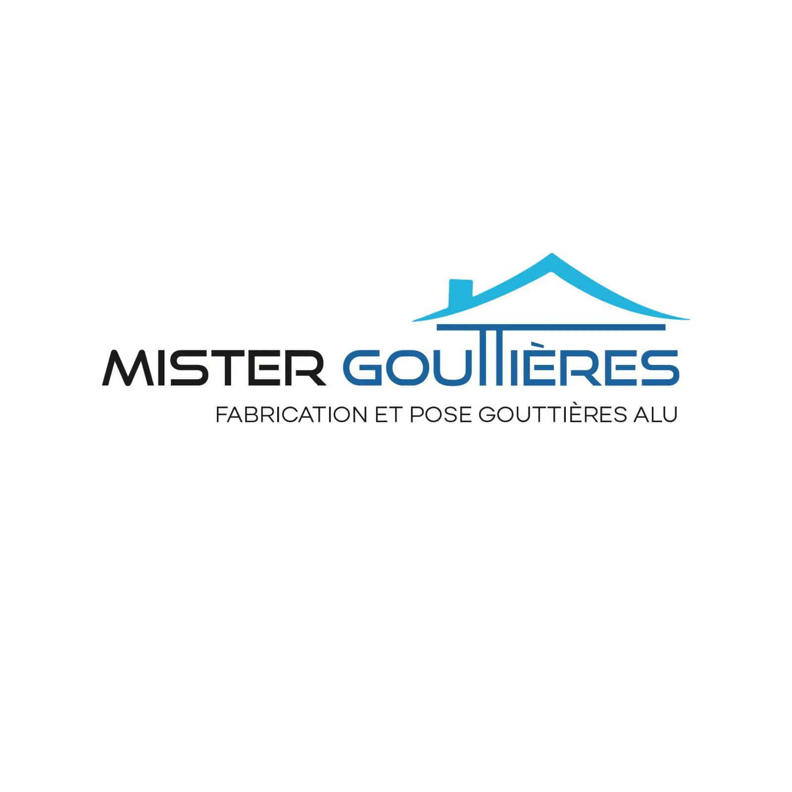 MISTER GOUTTIERES