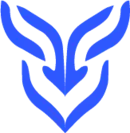 FLYFENNEC CONSULTING