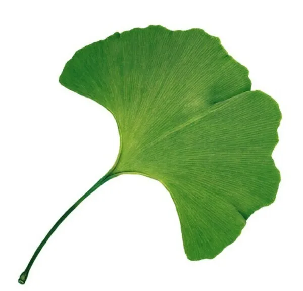 DR FREDERIC DERUELLE