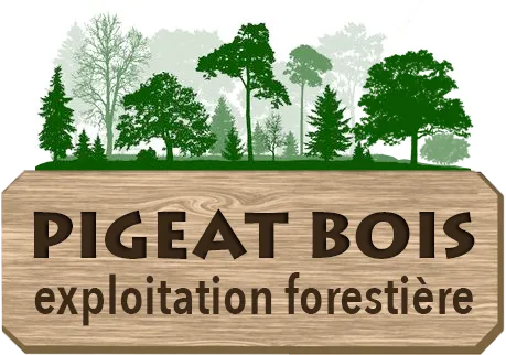 PIGEAT BOIS