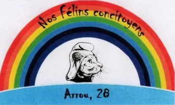 NOS FELINS CONCITOYENS D'ARROU