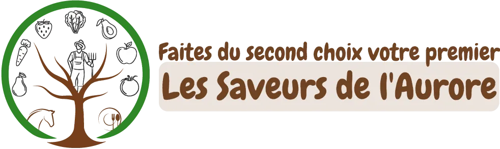 LES SAVEURS DE L'AURORE