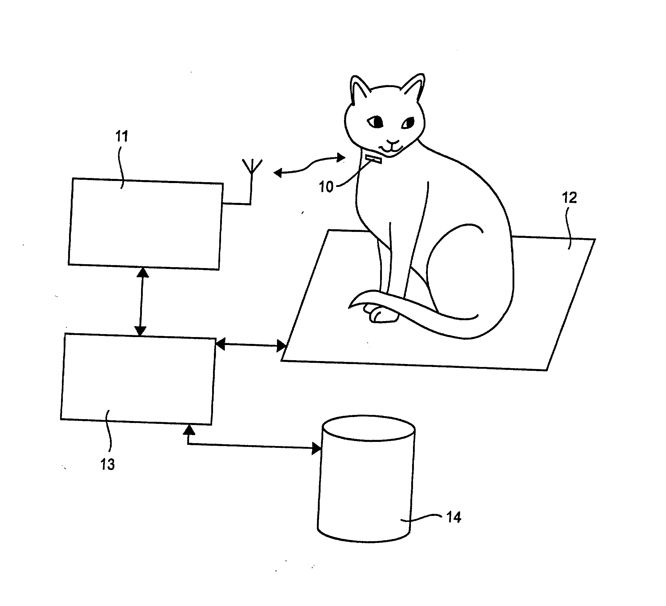 Systeme de gestion d'informations relatives a un animal de compagnie portant des moyens electroniques d'identification sous-cutanes