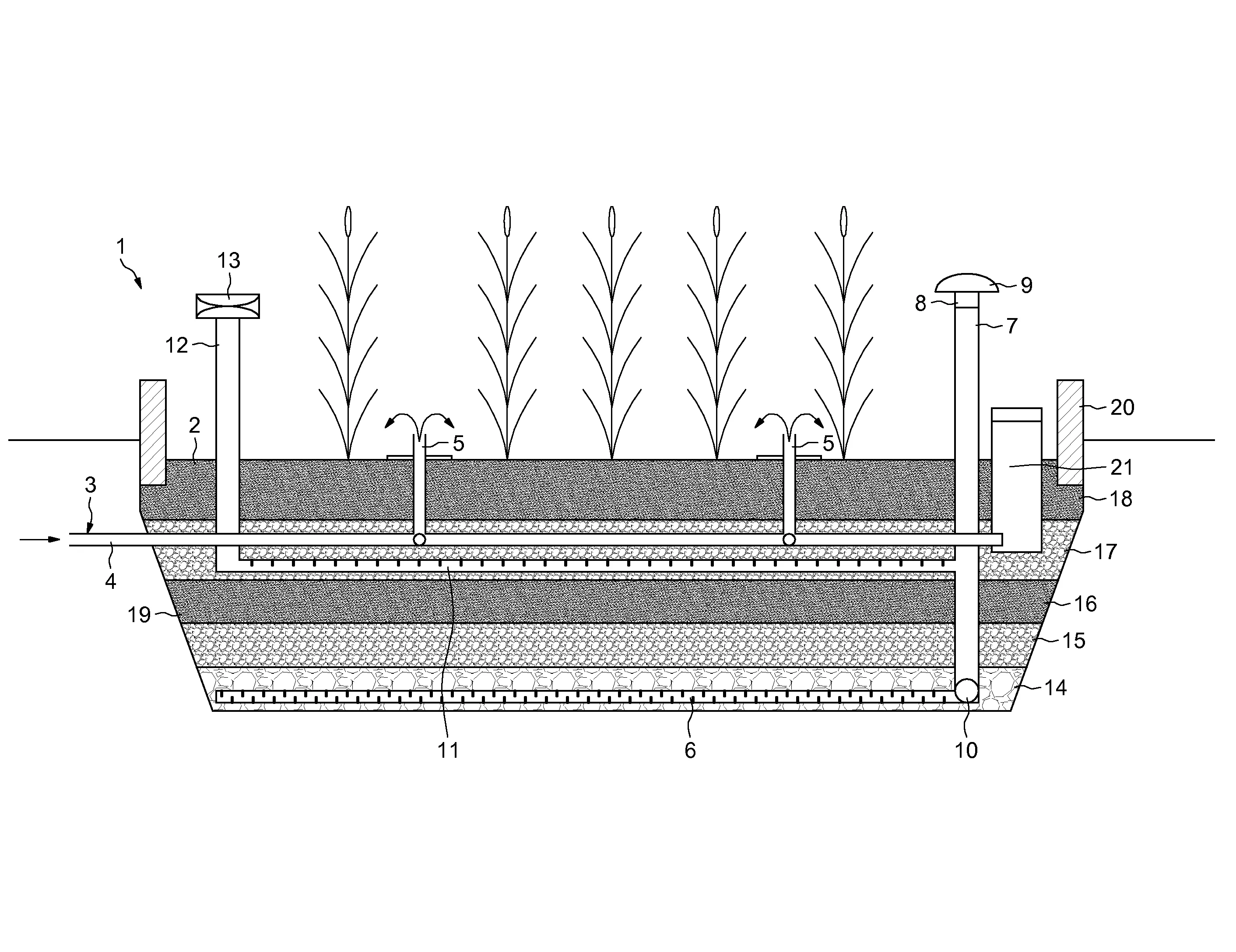 Dispositif d'assainissement compact par filtre plante, notamment du type plante de roseaux