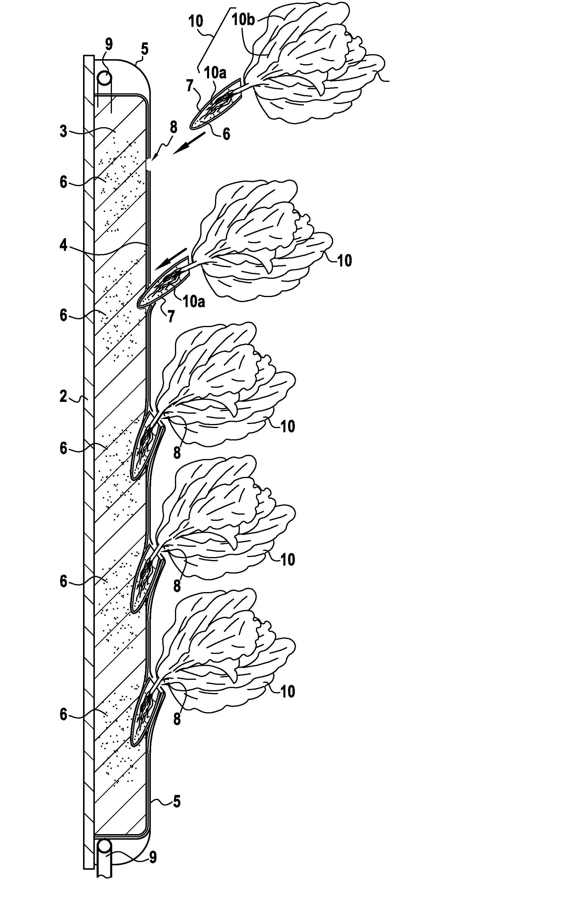 Dispositif de culture vegetale en hydroponie multicouche