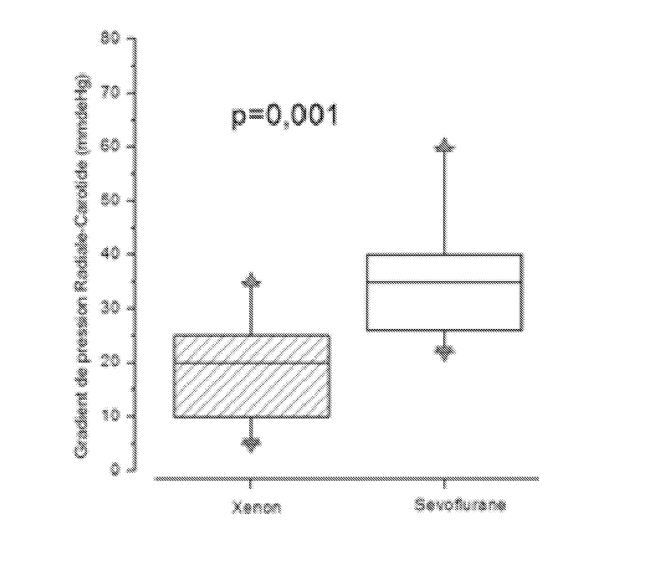 Composition anesthesique gazeuse a base de xenon utilisable pendant une endarteriectomie avec clampage de l'artere carotide