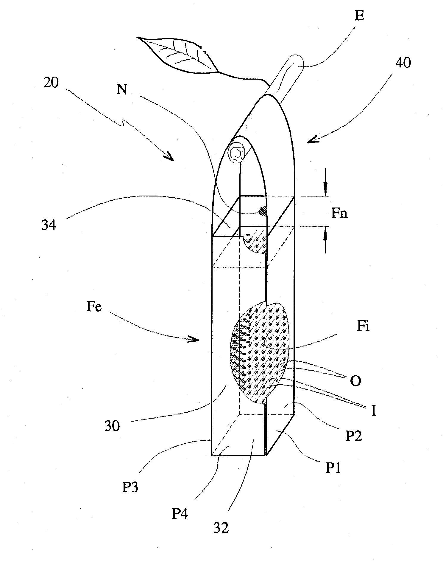 Support d'oeufs d'insectes destine a la lutte contre les ravageurs des plantes