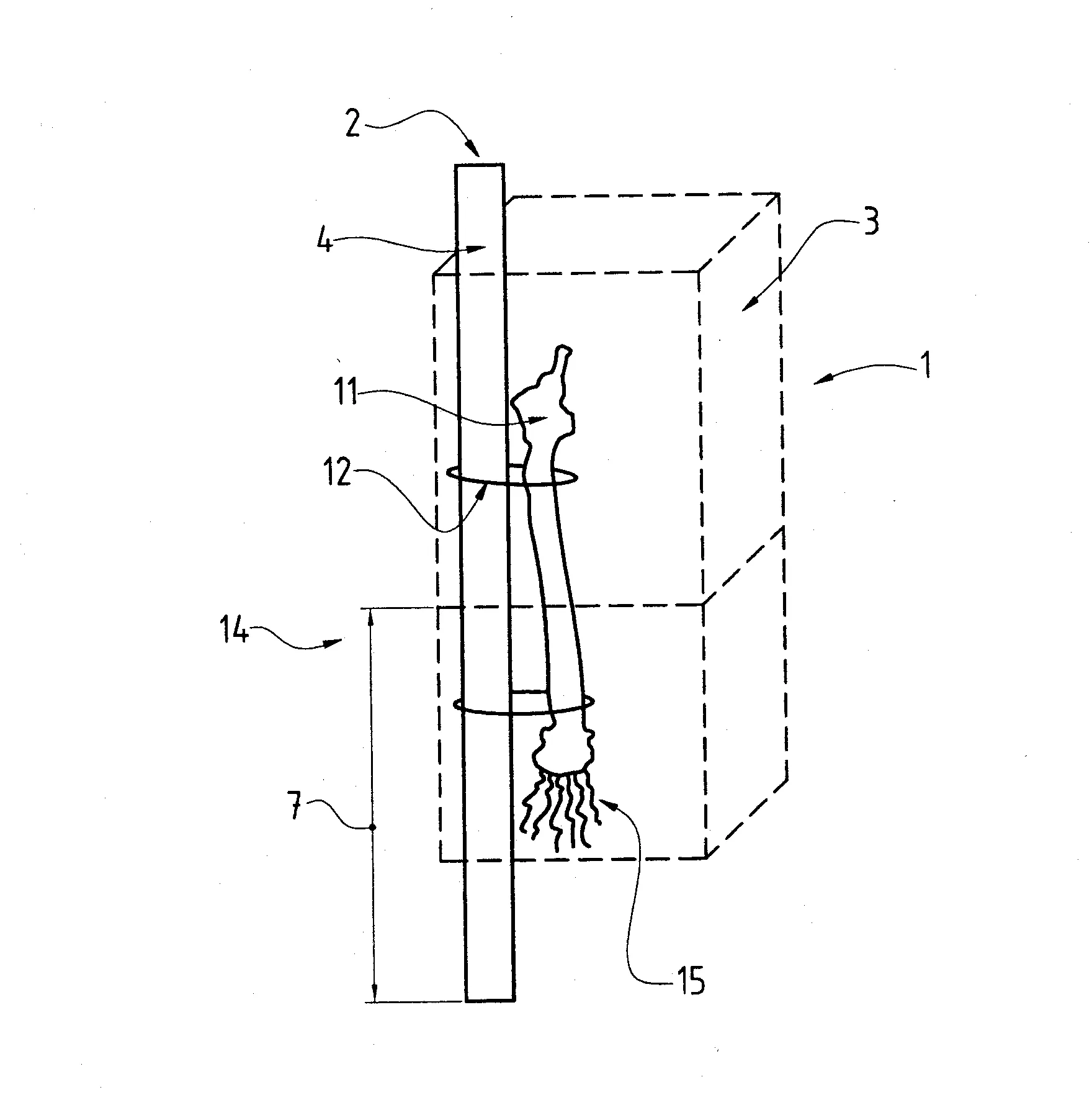 Dispositif de protection et de tuteurage pour jeune plant