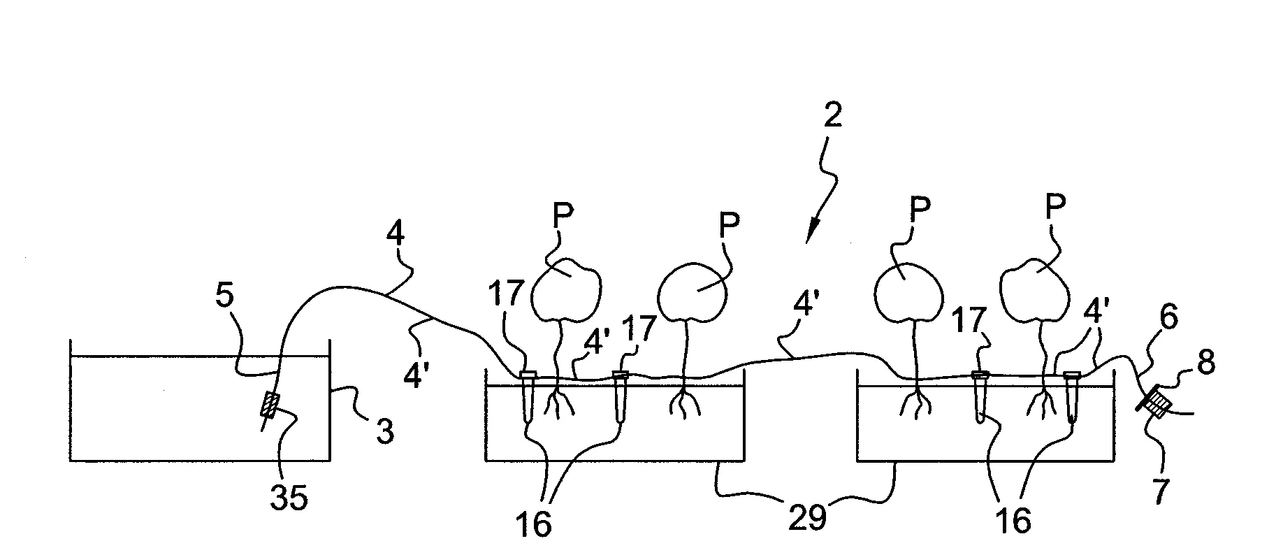 Element d’amorcage pour installation d’arrosage de plantes, kit d’arrosage et installation d’arrosage de plantes comprenant un tel element d’amorcage