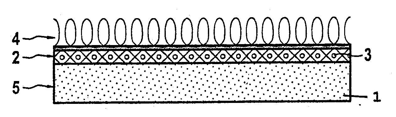 Nappe ou ruban a boucles en forme de stratifie comportant des motifs imprimes