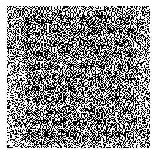 Substrat pour document securise.