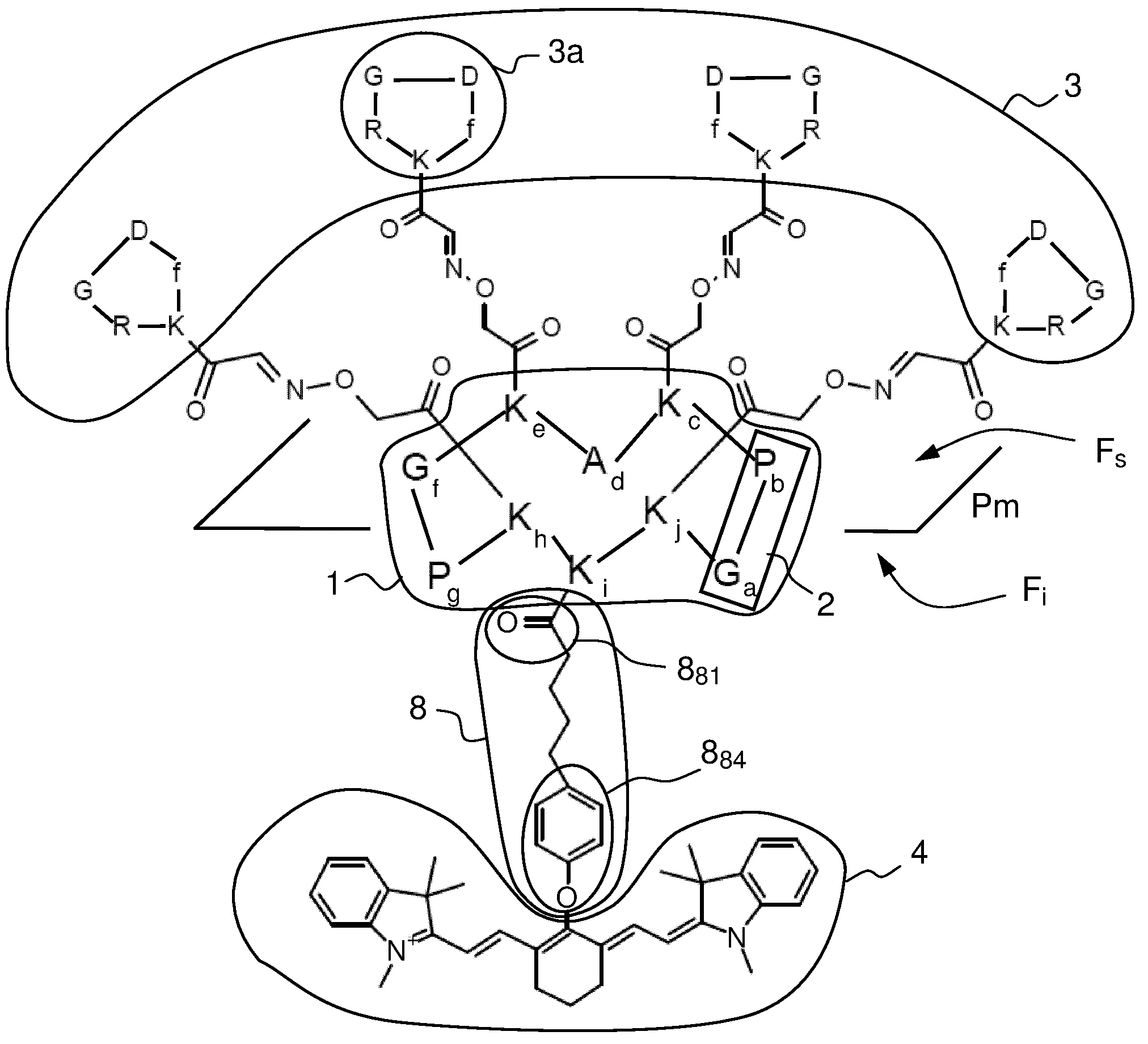 Traceur fluorescent ciblant multivalent dans le proche infrarouge pour imagerie optique.