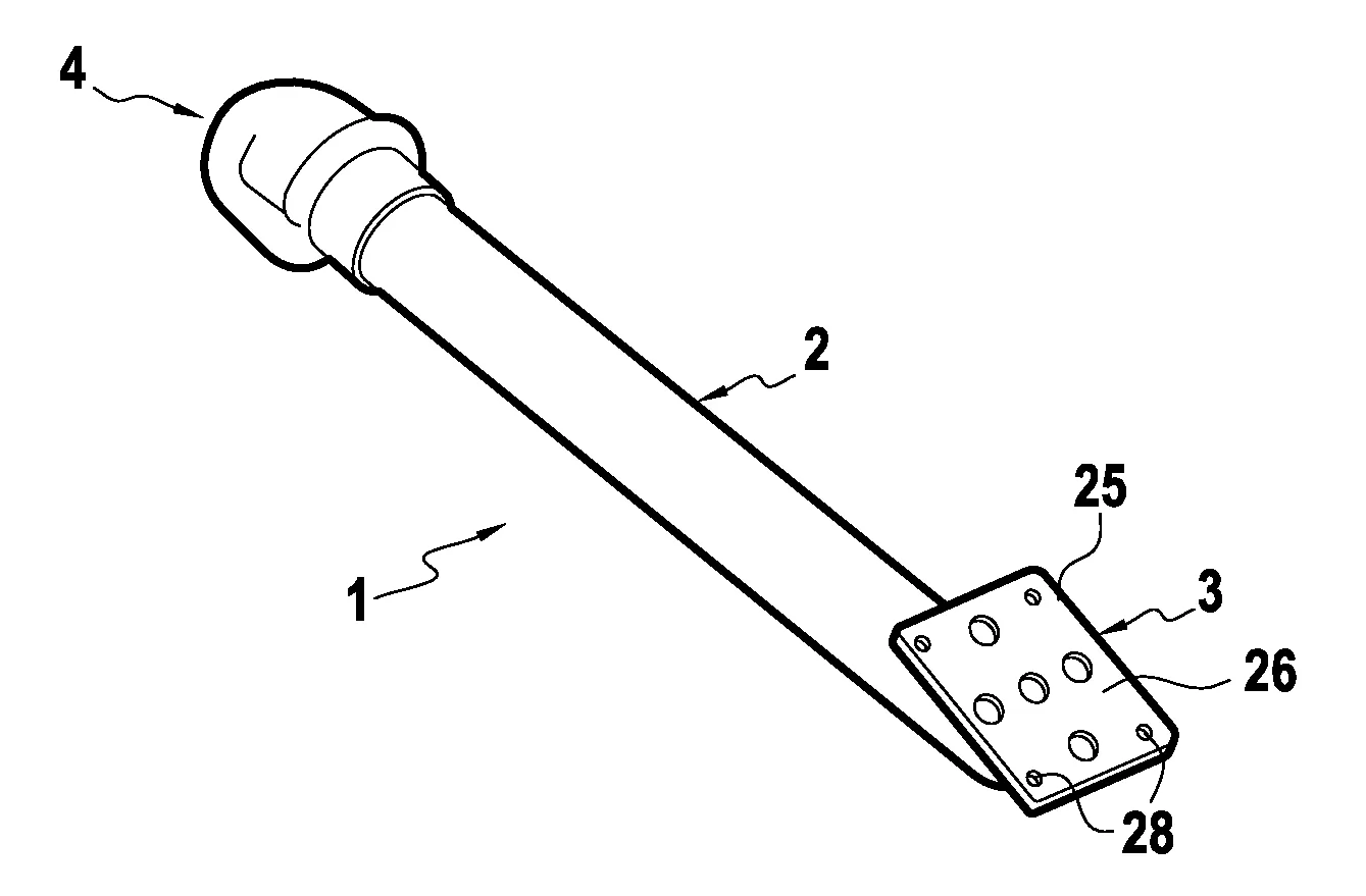Implant penien notamment pour transsexuel femme vers homme