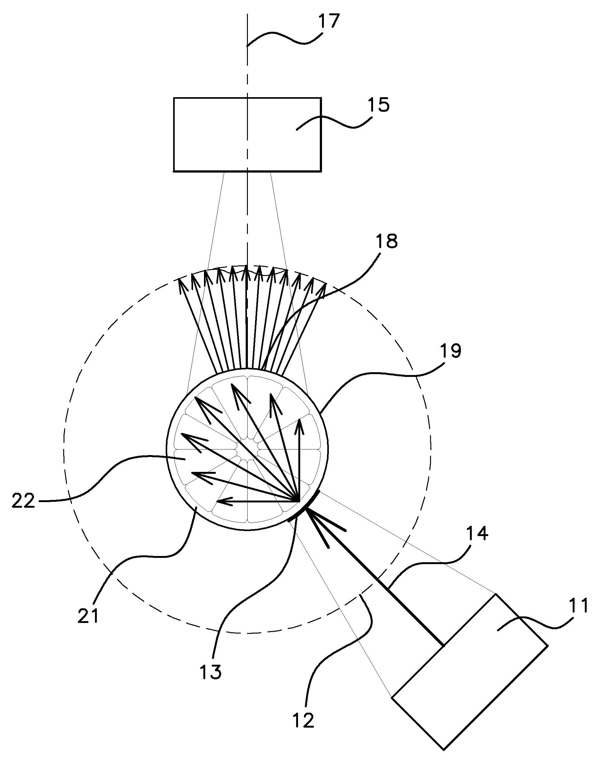 Procede et dispositif d'analyse optique d'agrumes par diffusion/transmission