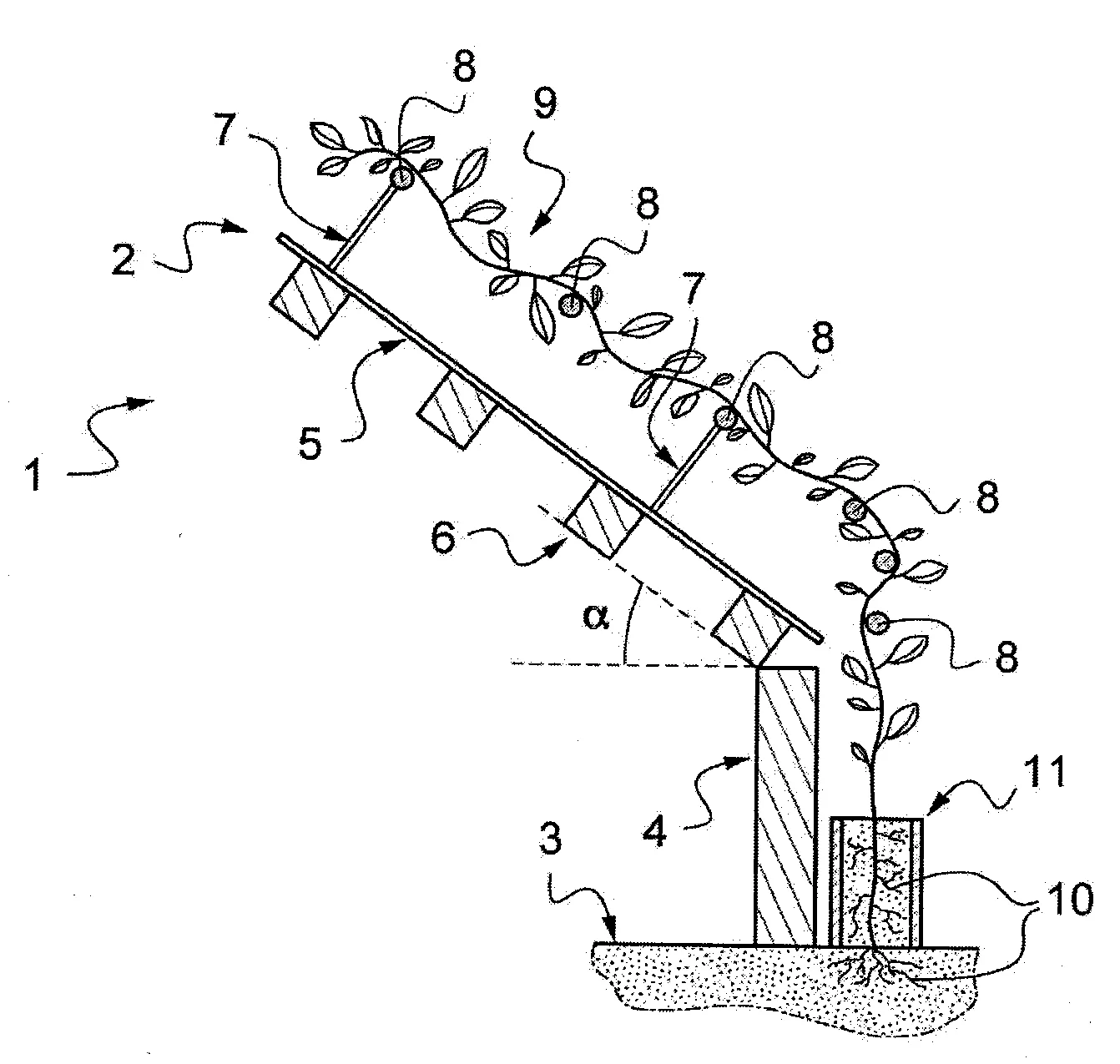 Paroi complexe vegetalisee sur toiture, de type ligneuses sur lame d'air, kit pour installation