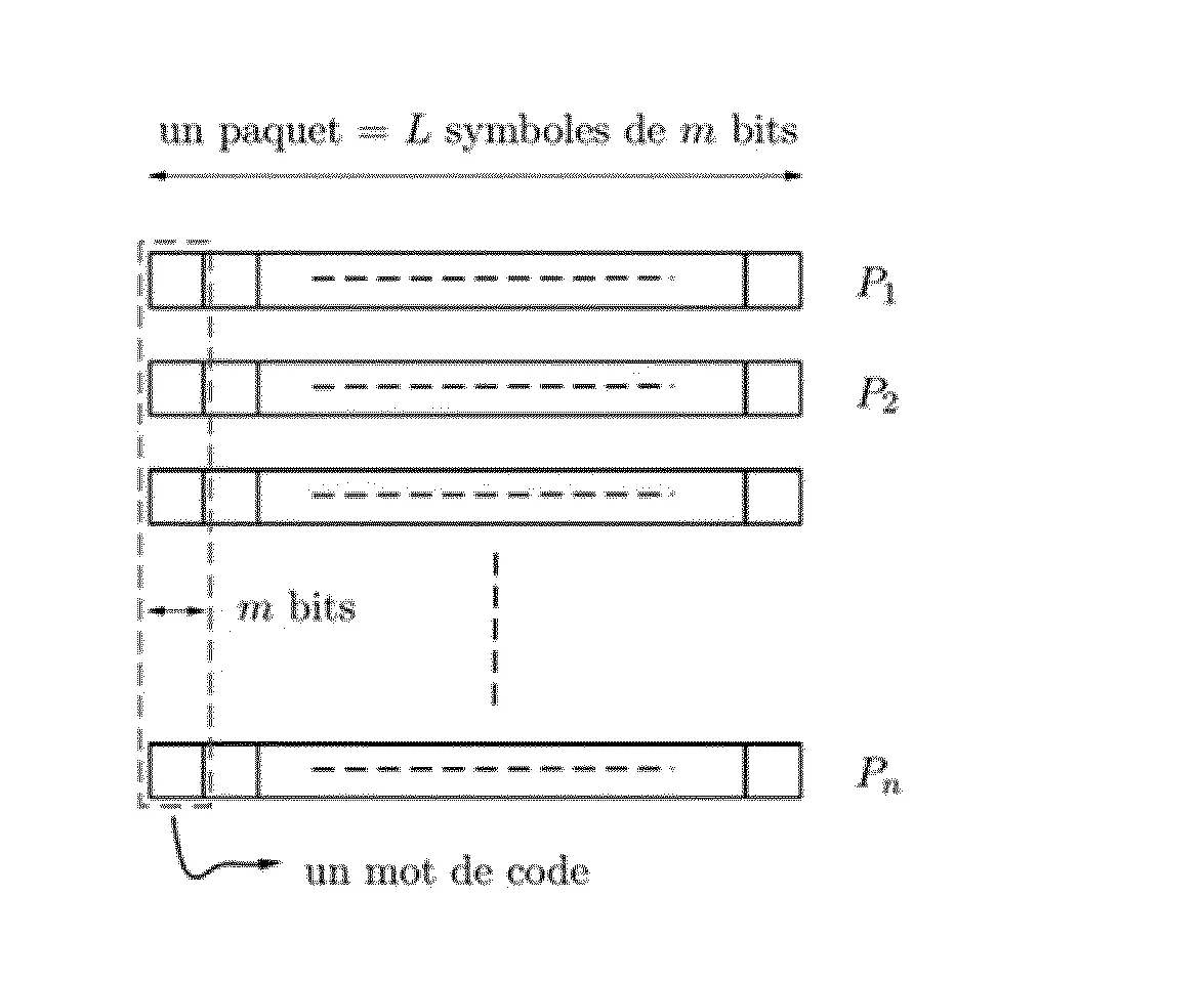 Procedes de codage et de decodage de paquets de donnees dans un corps de galois
